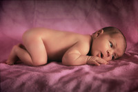 Newborn