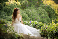 Wedding Albums
