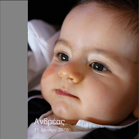 Cover - option 1